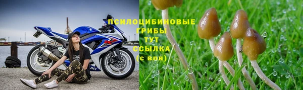 хмурый Балахна
