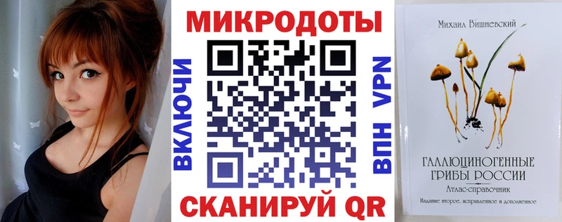 Купить закладки Кызыл Псилоцибиновые грибы Psilocybe